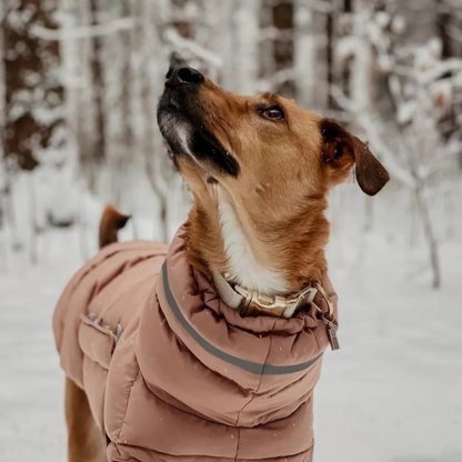 Premium Vinterjacka för Hund – Vattenavvisande och Vindtät – Rosa