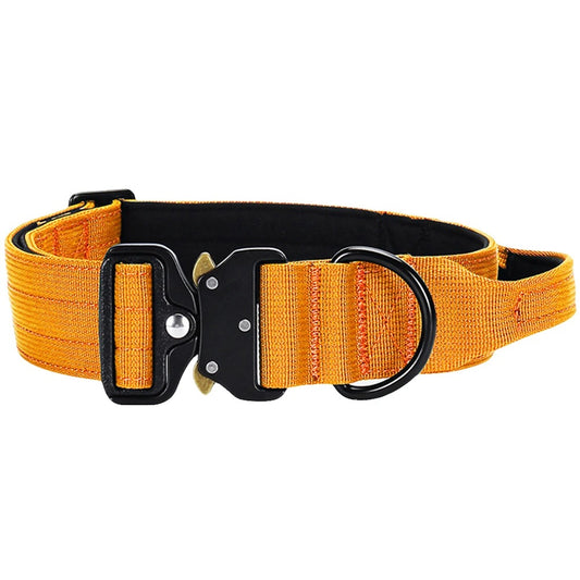 HÖGKVALITATIVT HUNDHALSBAND – ORANGE